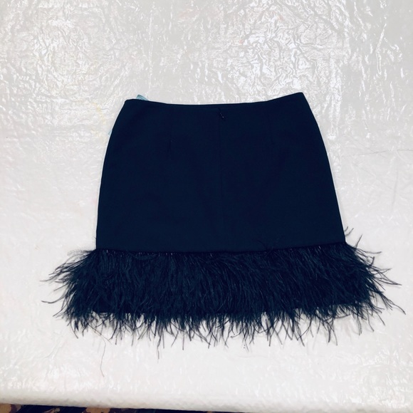 Boston Proper Dresses & Skirts - Stunning Feather Skirt***US 6 $485